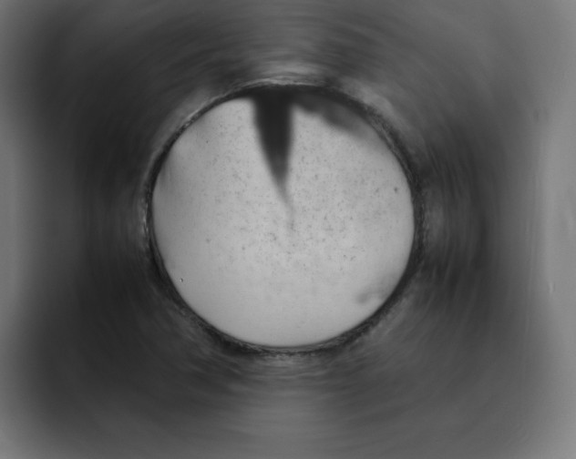 X0000092051362200710031035