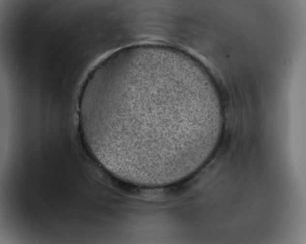 X0000092051363200710031035