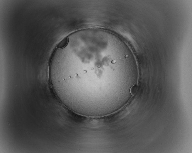 X0000092051365200710031035