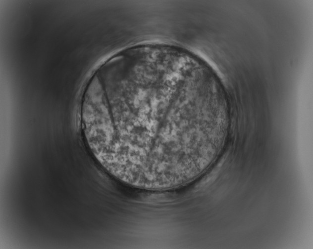 X0000092051367200710031035