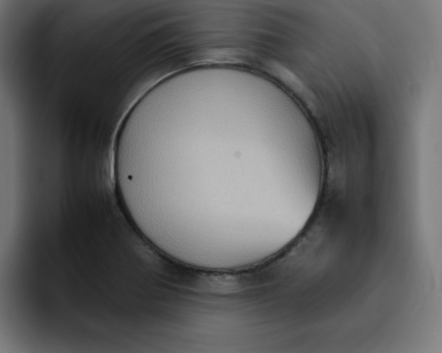 X0000092051370200710031035