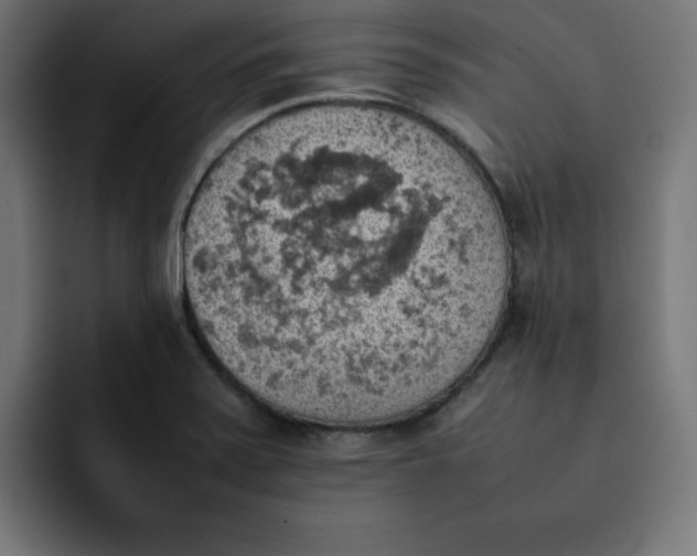 X0000092051371200710031035