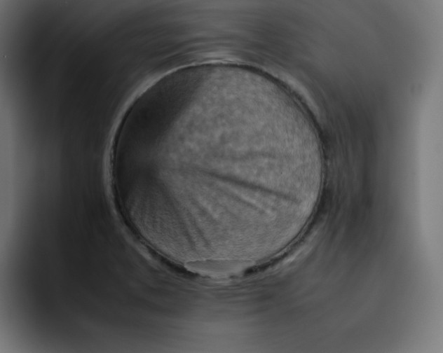 X0000092051373200710031035