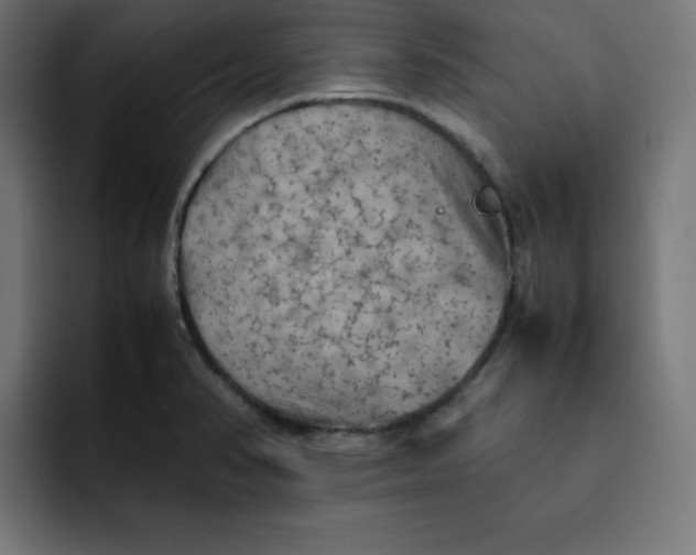 X0000092051374200710031035