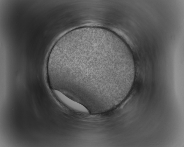 X0000092051375200710031035