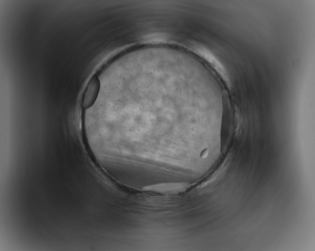 X0000092051376200710031035