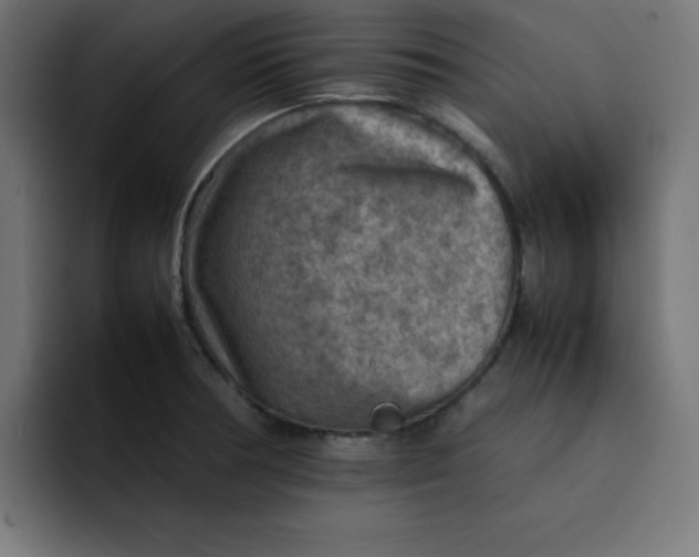 X0000092051378200710031035