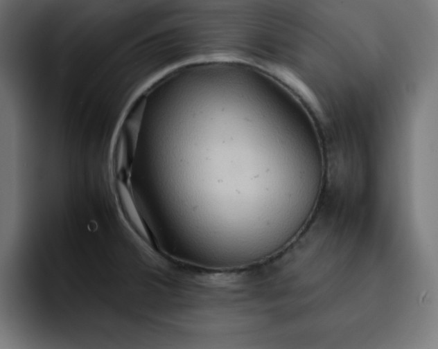 X0000092051380200710031035