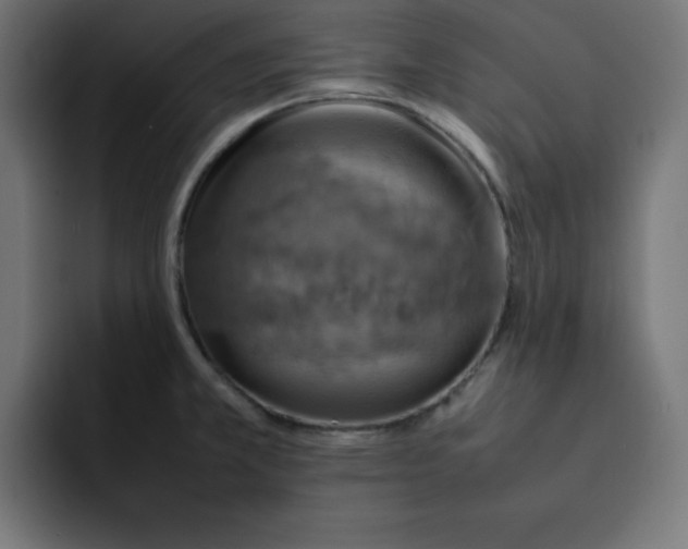 X0000092051381200710031035