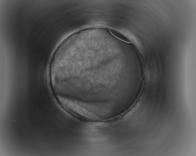 X0000092051382200710031035