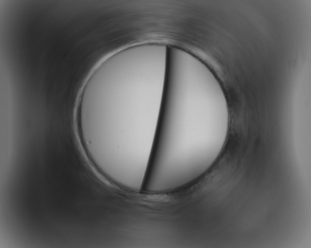 X0000092051383200710031035