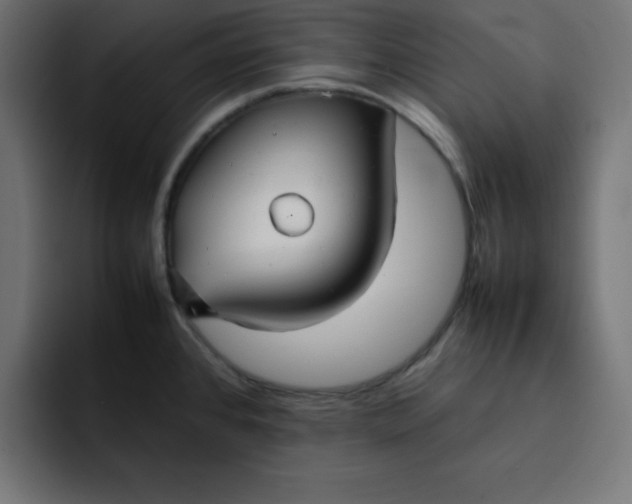 X0000092051384200710031035