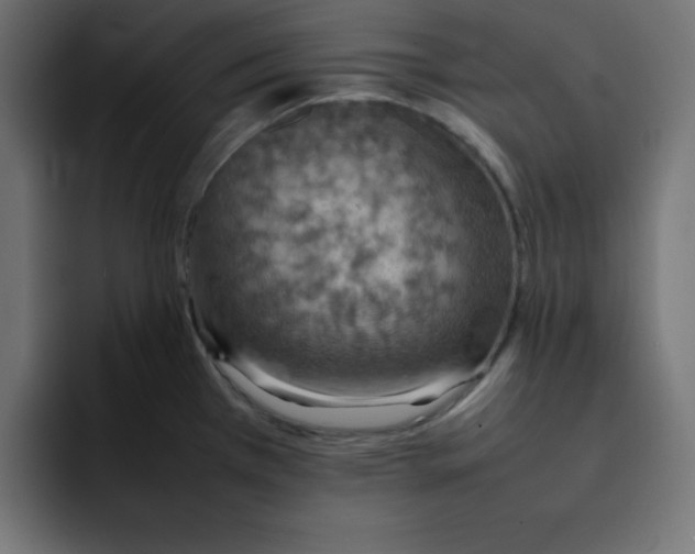 X0000092051385200710031035