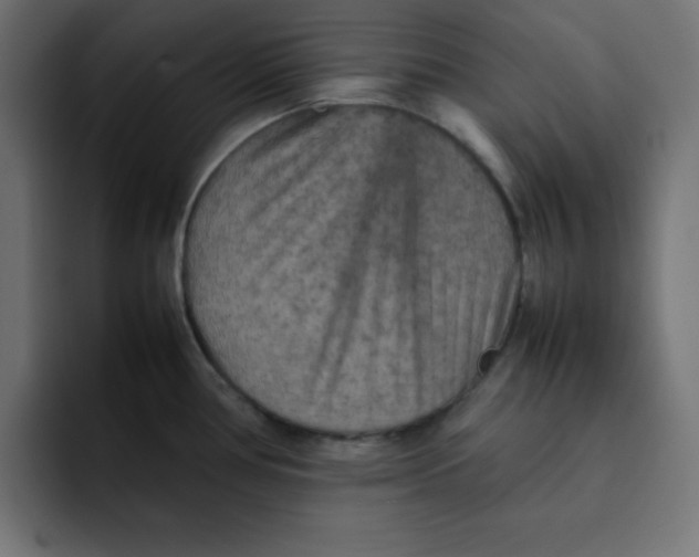 X0000092051386200710031035