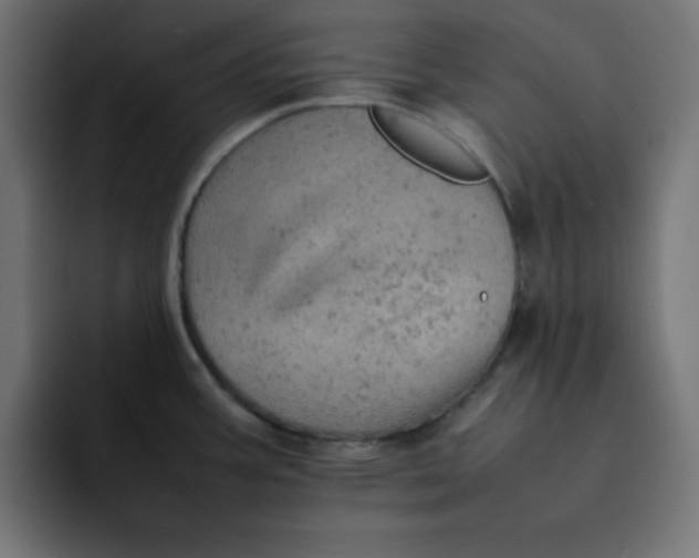 X0000092051387200710031035