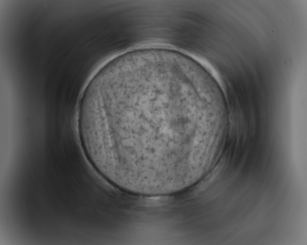 X0000092051390200710031035