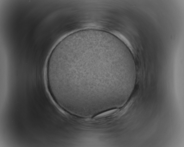 X0000092051391200710031035