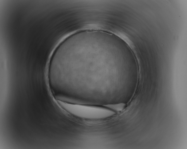 X0000092051392200710031034