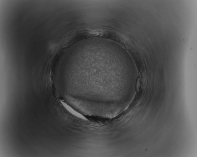 X0000092051394200710031034