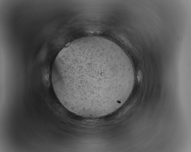 X0000092051396200710031034