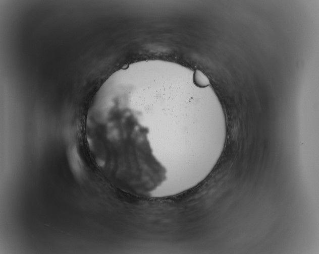 X0000092051397200710031034