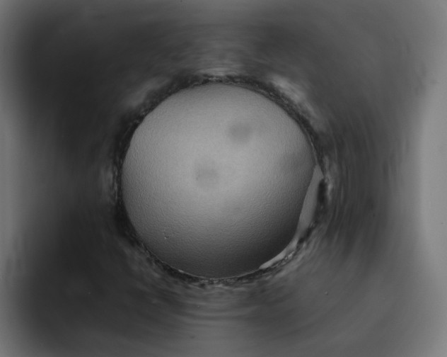 X0000092051398200710031034