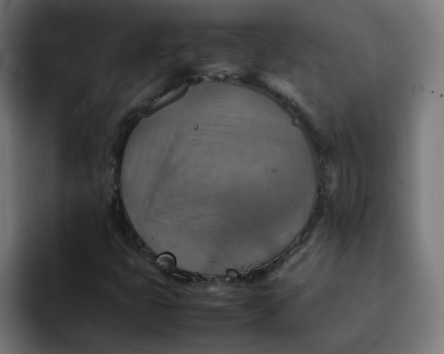 X0000092051399200710031034