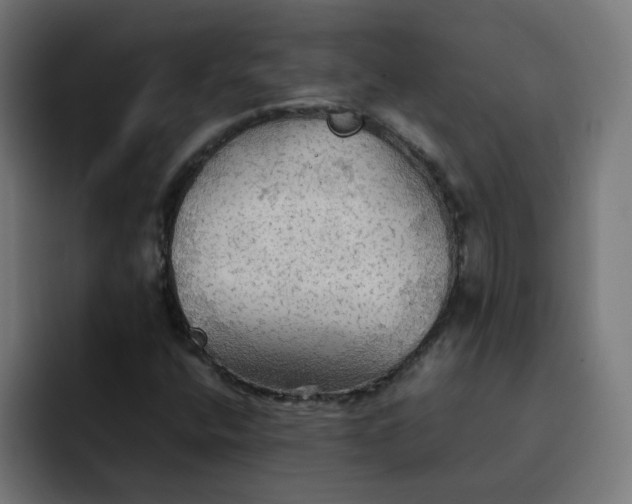 X0000092051400200710031034