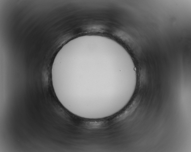 X0000092051401200710031034