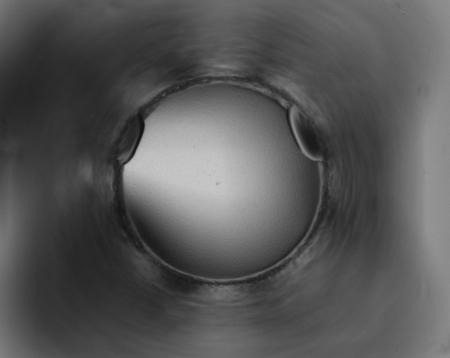 X0000092051402200710031034