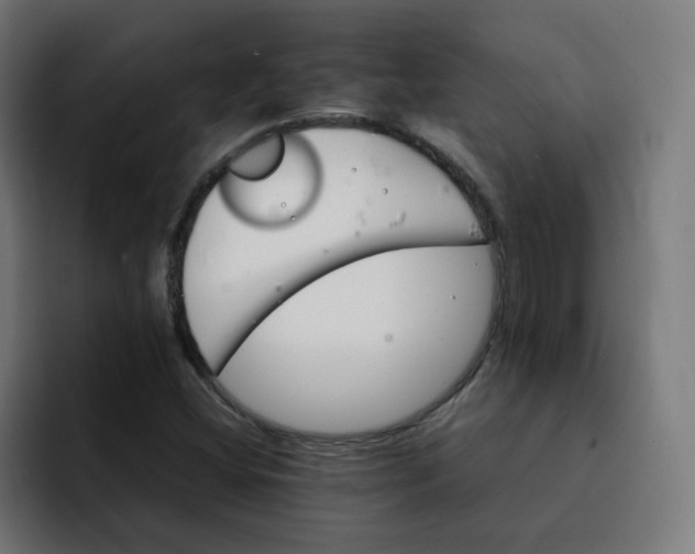 X0000092051404200710031034