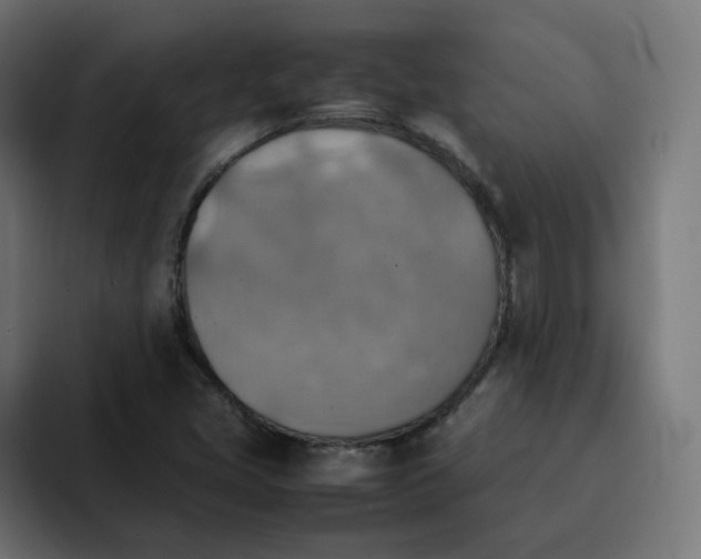 X0000092051405200710031034