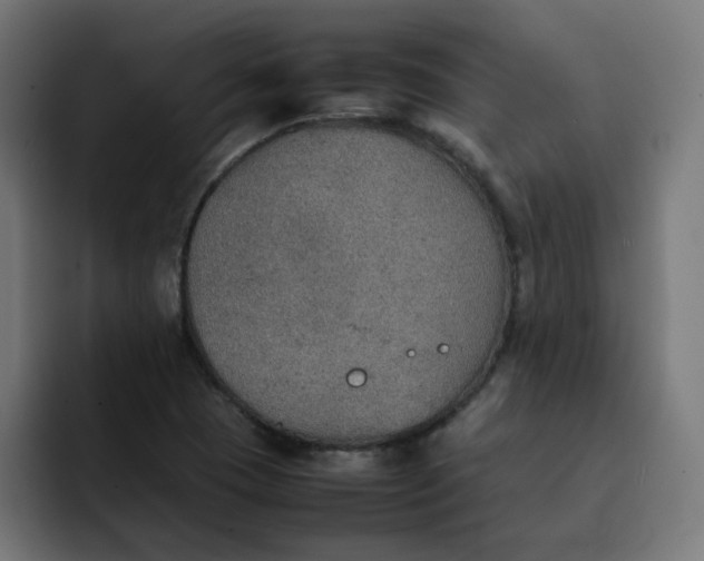 X0000092051409200710031034