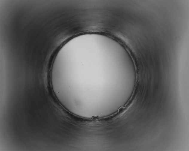 X0000092051410200710031034