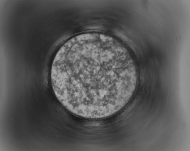 X0000092051411200710031034