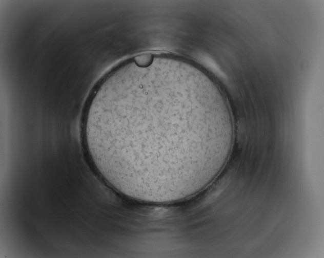 X0000092051412200710031034