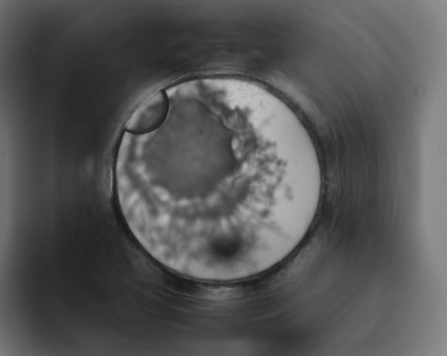 X0000092051413200710031034