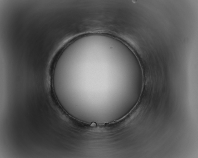 X0000092051414200710031034