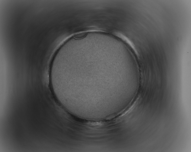 X0000092051415200710031034