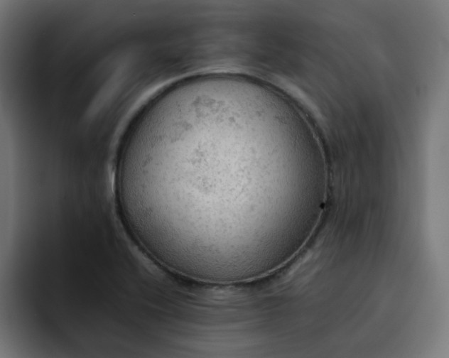 X0000092051416200710031034