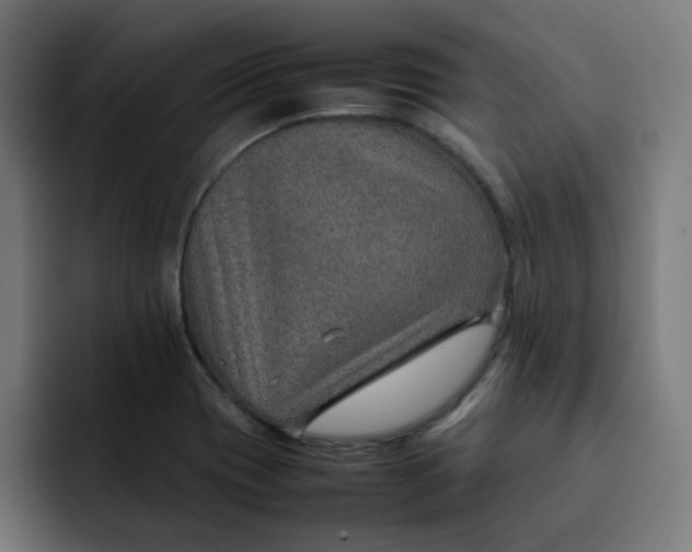 X0000092051417200710031034