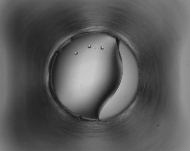 X0000092051418200710031034