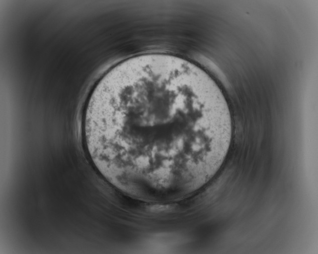 X0000092051419200710031034