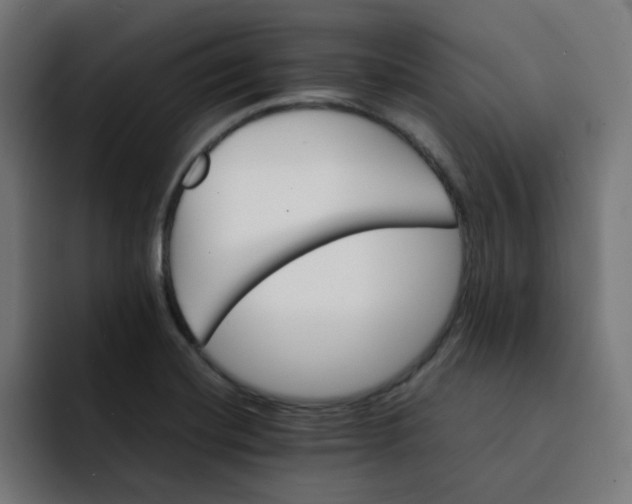 X0000092051420200710031034