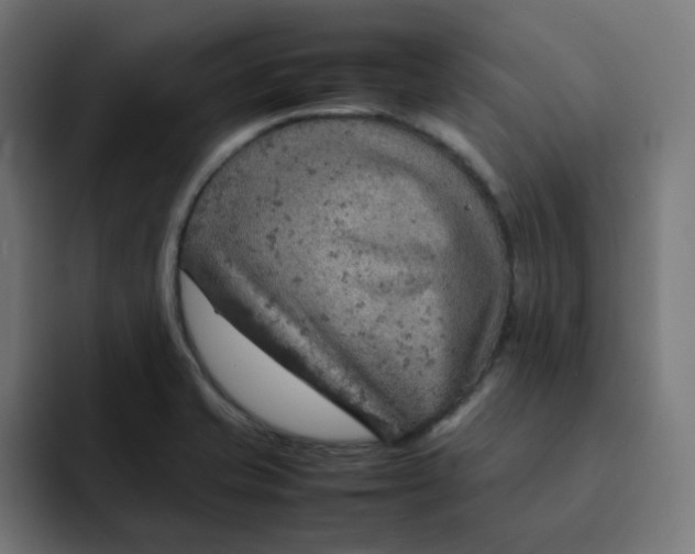 X0000092051421200710031034