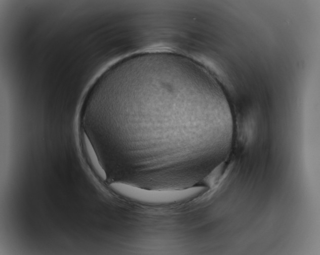 X0000092051422200710031034