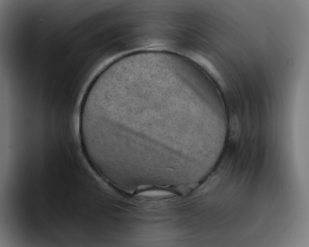 X0000092051424200710031034