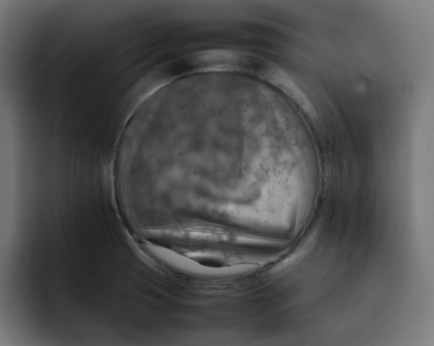 X0000092051425200710031034