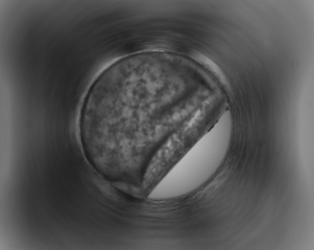 X0000092051427200710031034