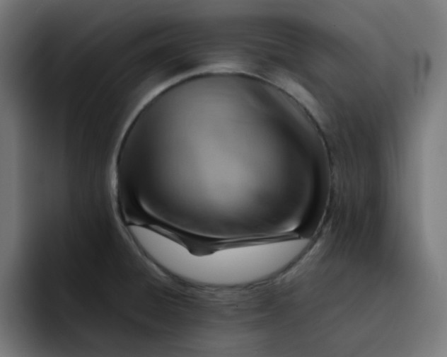 X0000092051428200710031034